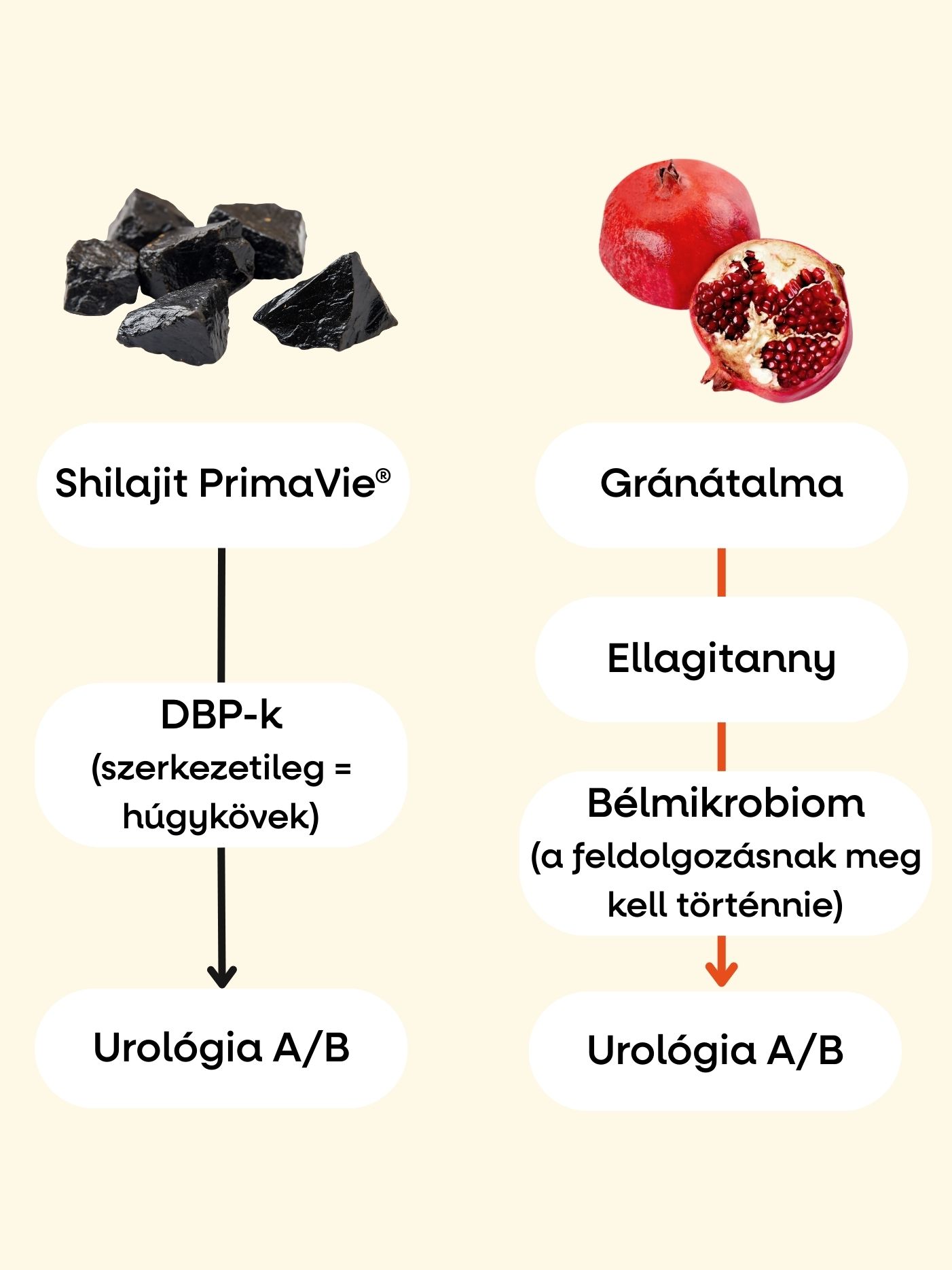 (Maďarština) - 2025-09-29T160624.135